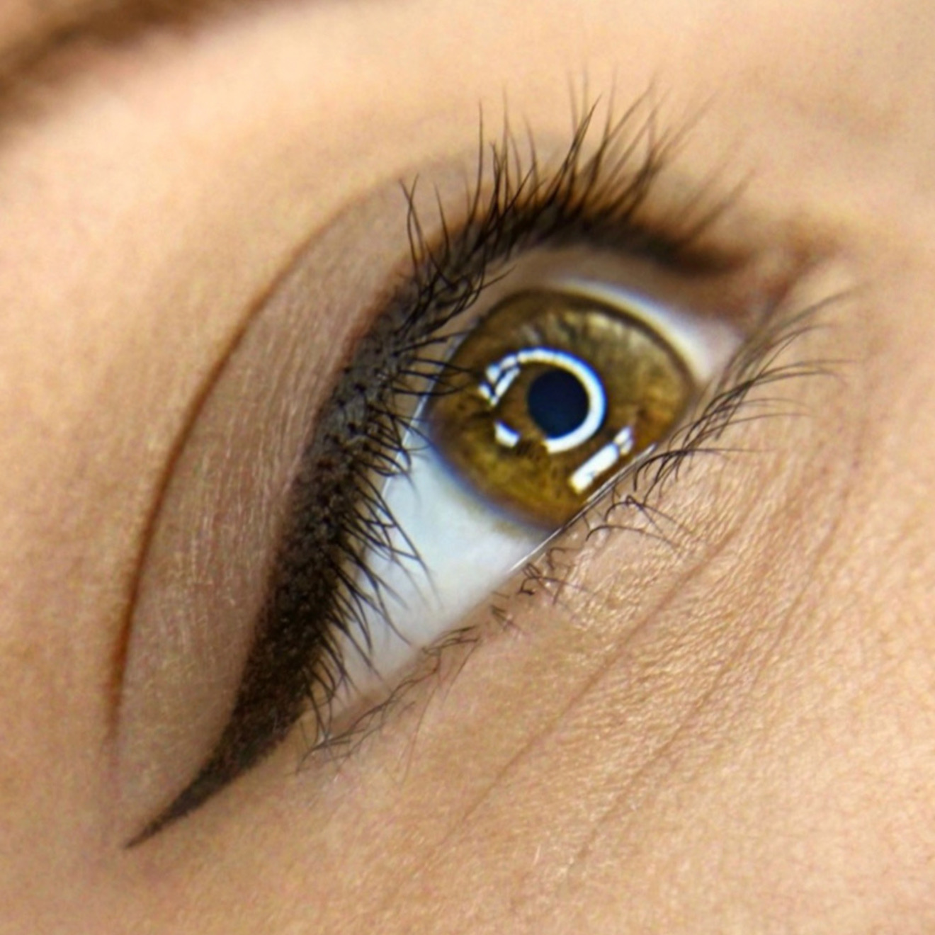 Permanent Makeup Eyeliner Tattoo San Diego Dashe